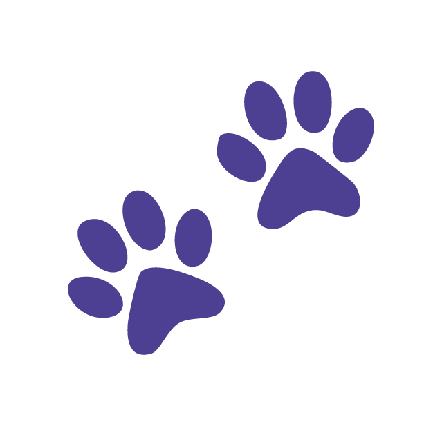 Empreintes de chien qui symbolise les animaux