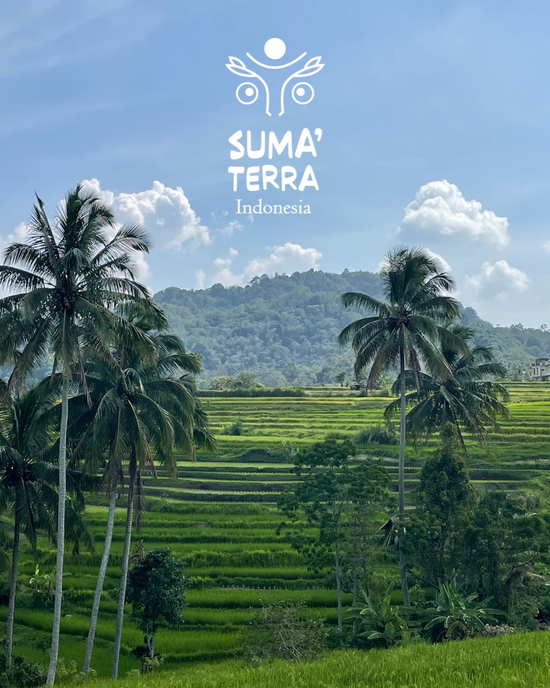 Identité visuelle de Suma'terra Indonesia sur une photo de Sumatra