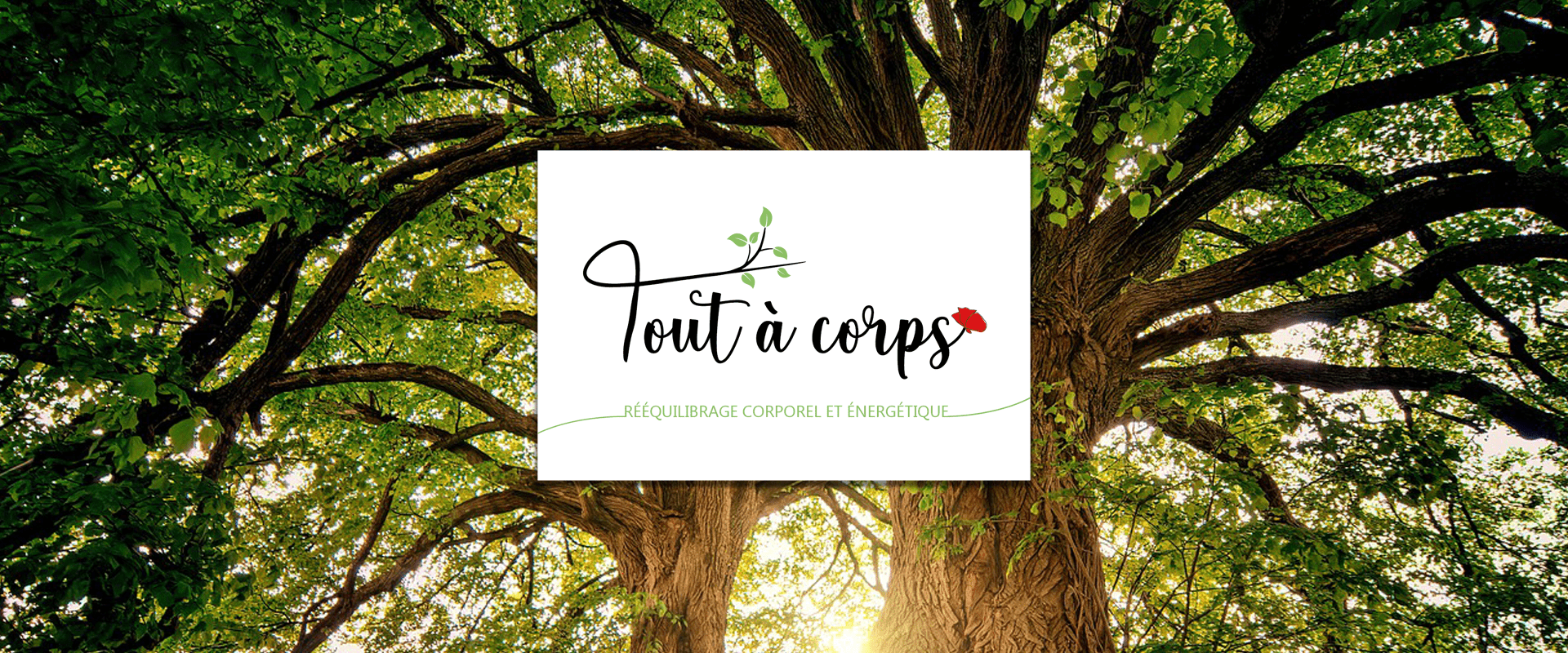 Logo Tout à Corps dans la nature